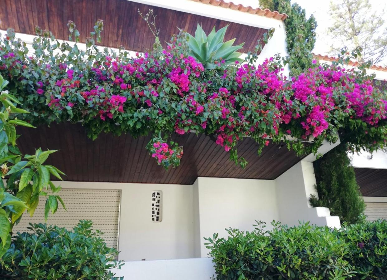 Solar De Sao Joao Apart otel Albufeira Dış mekan fotoğraf