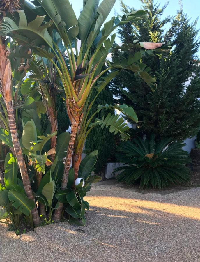 Solar De Sao Joao Apart otel Albufeira Dış mekan fotoğraf